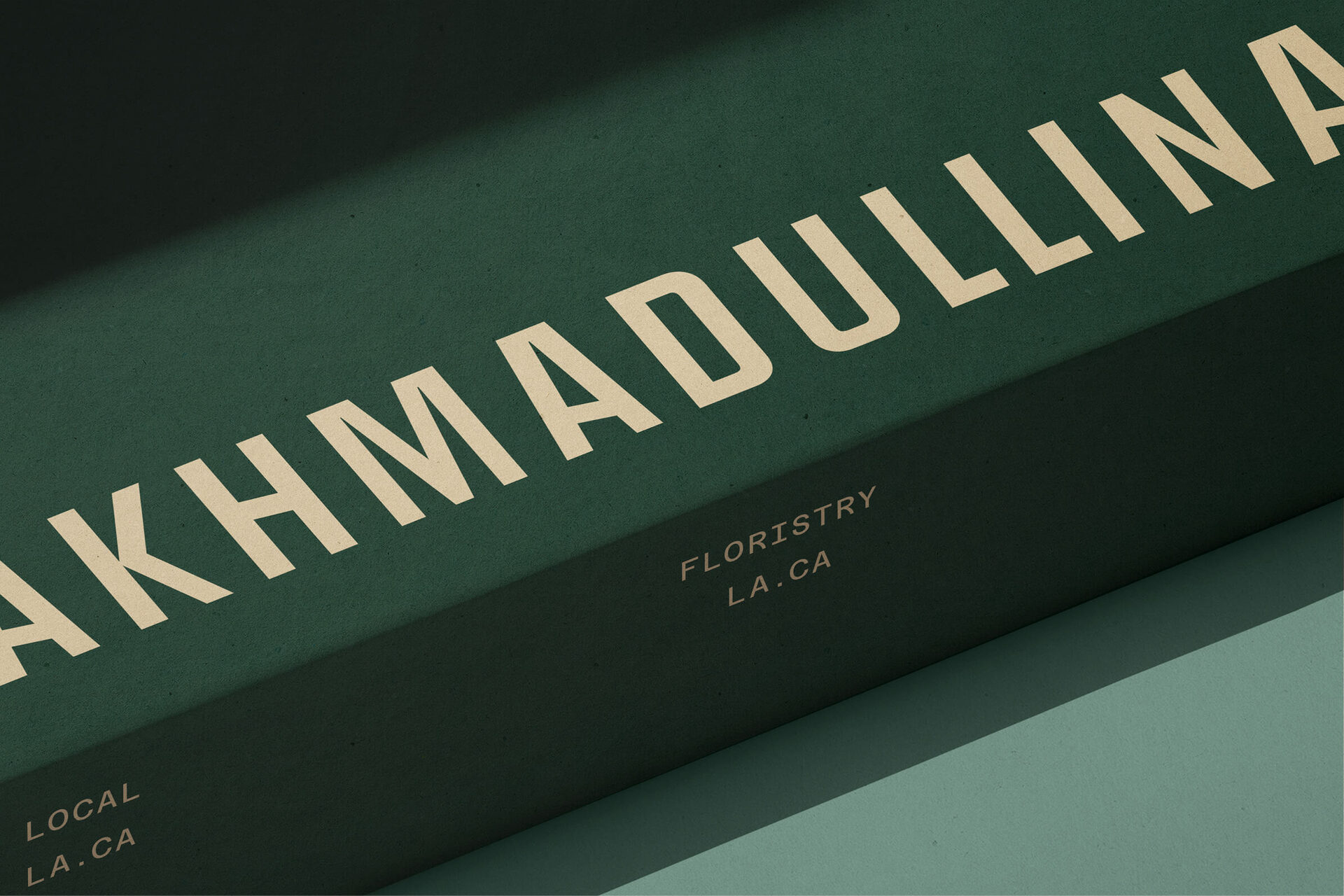 Alena Akhmadullina — direction (rebranding)
